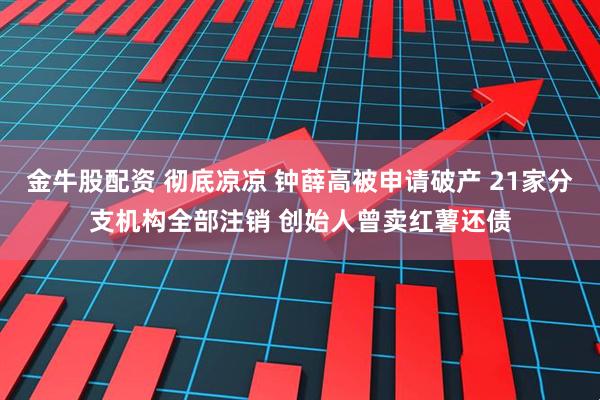 金牛股配资 彻底凉凉 钟薛高被申请破产 21家分支机构全部注销 创始人曾卖红薯还债