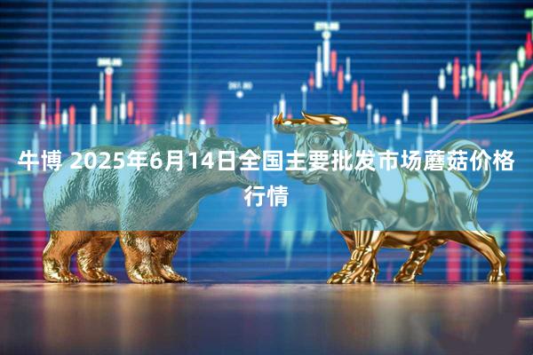 牛博 2025年6月14日全国主要批发市场蘑菇价格行情