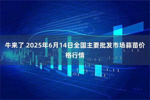 牛来了 2025年6月14日全国主要批发市场蒜苗价格行情