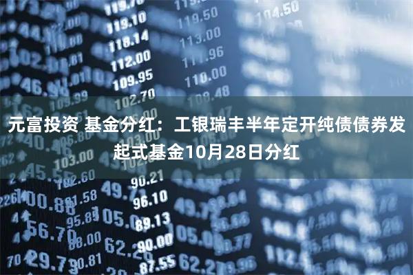 元富投资 基金分红:工银瑞丰半年定开纯债债券发起式基金10月28日分红