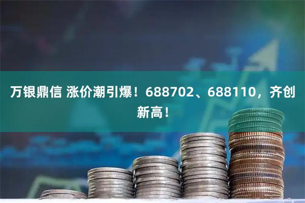 万银鼎信 涨价潮引爆！688702、688110，齐创新高！
