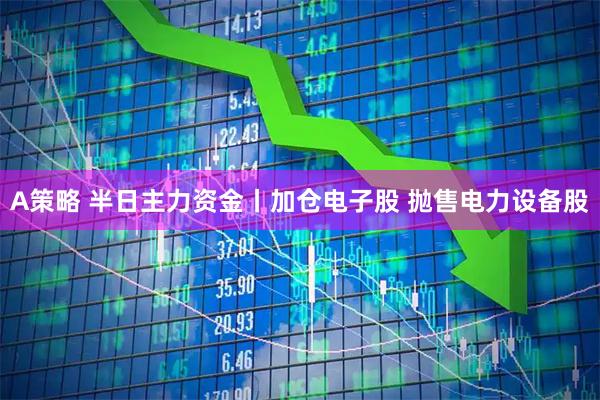 A策略 半日主力资金丨加仓电子股 抛售电力设备股