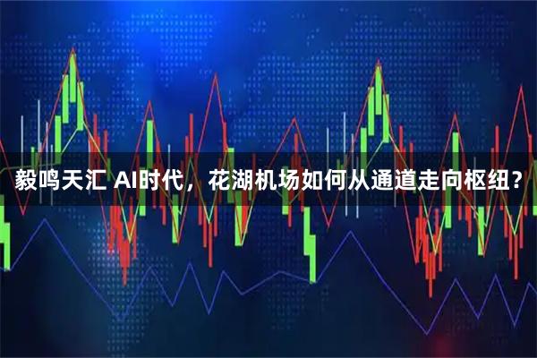 毅鸣天汇 AI时代，花湖机场如何从通道走向枢纽？